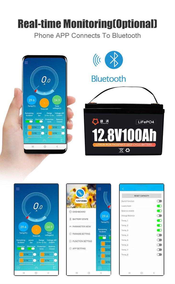 LVWO-12V 12.8V 100Ah Pro LiFePO4 Lithium Battery